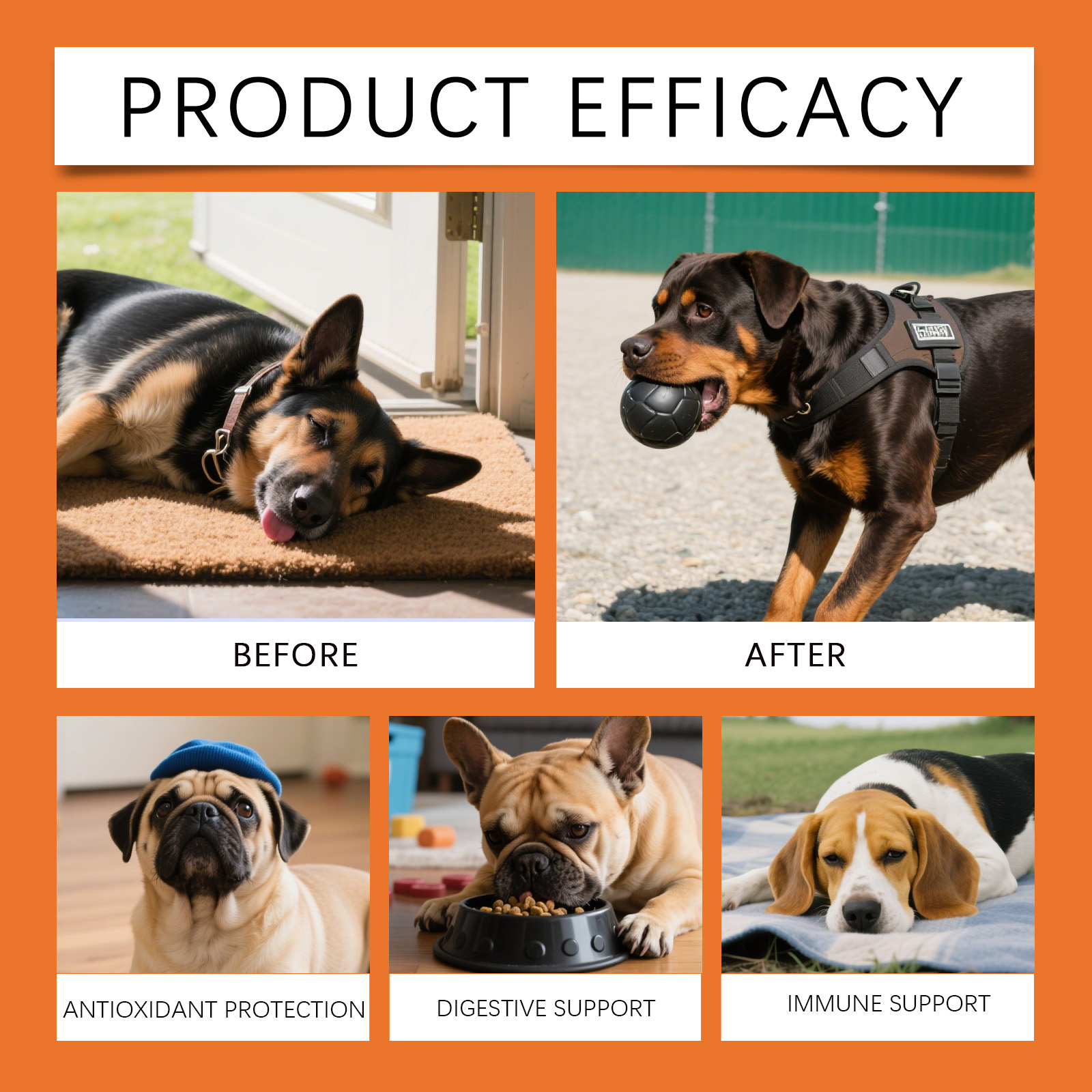 犬用ハーバルドロップス - 究極の心地よさと優しい、ホリステ - Herbal Wellness Drops のレビューと価格